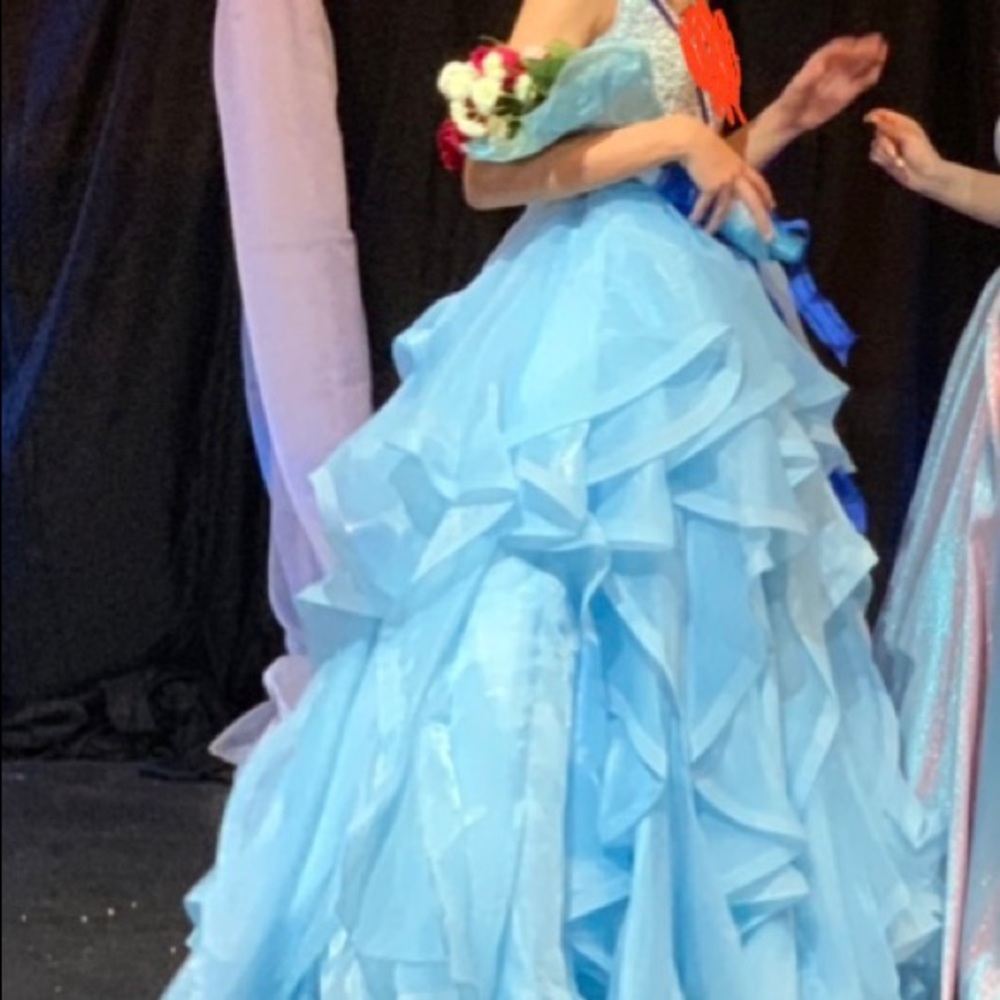 Tiffany Designs organza prom/pageant gown - Picture 4 of 5